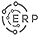 ERP Platform Integration